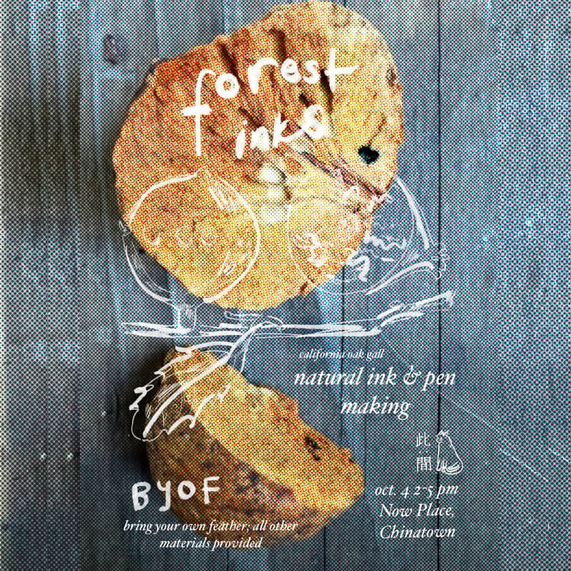 Cover Image for Forest Ink: Natural Ink & Pen Making