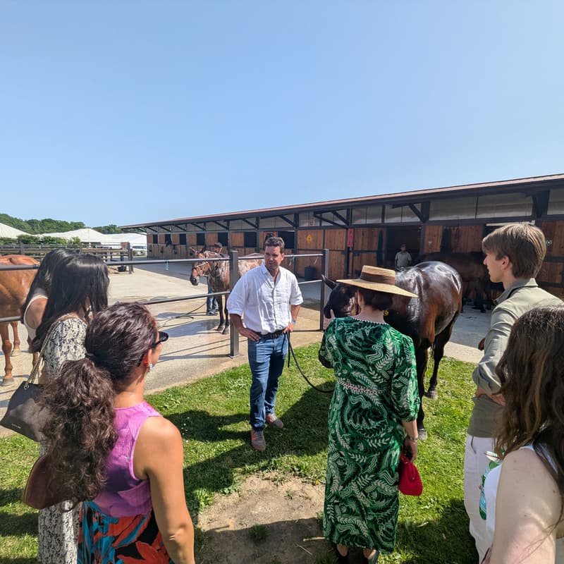 Cover Image for "All You Need To Know About Polo" by Pancho MacLoughlin
