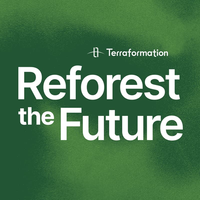 Cover Image for Reforest the Future