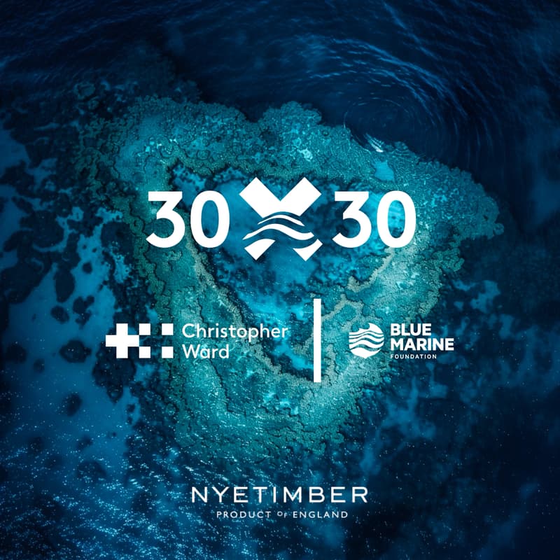 Cover Image for Loupe Live: Sea Change