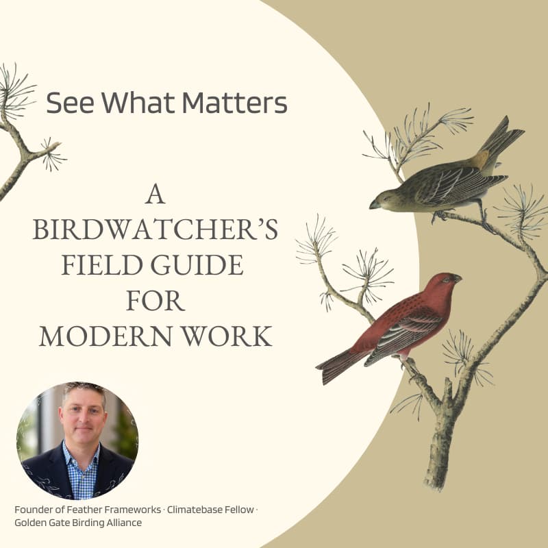 Cover Image for See What Matters - A Birdwatcher's Field Guide to Modern Work