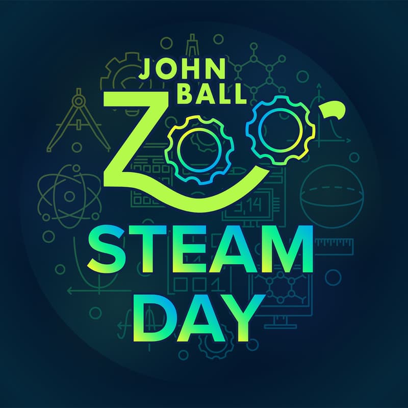 Cover Image for STEAM Day