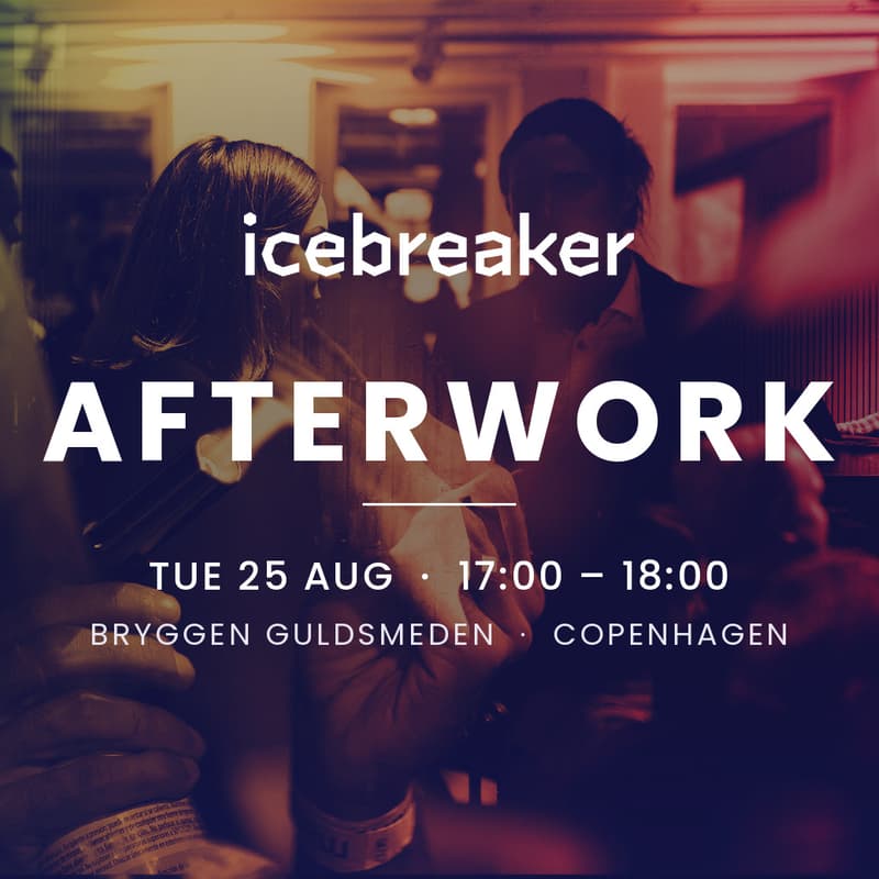 Cover Image for Icebreaker.vc portfolio afterwork @TechBBQ