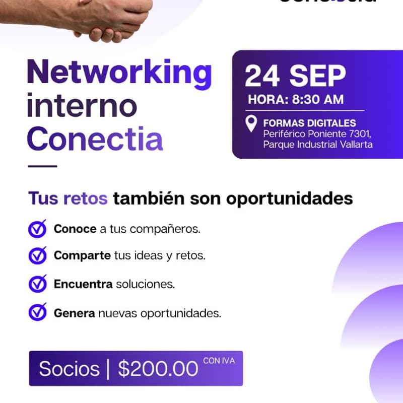 Cover Image for Networking Interno