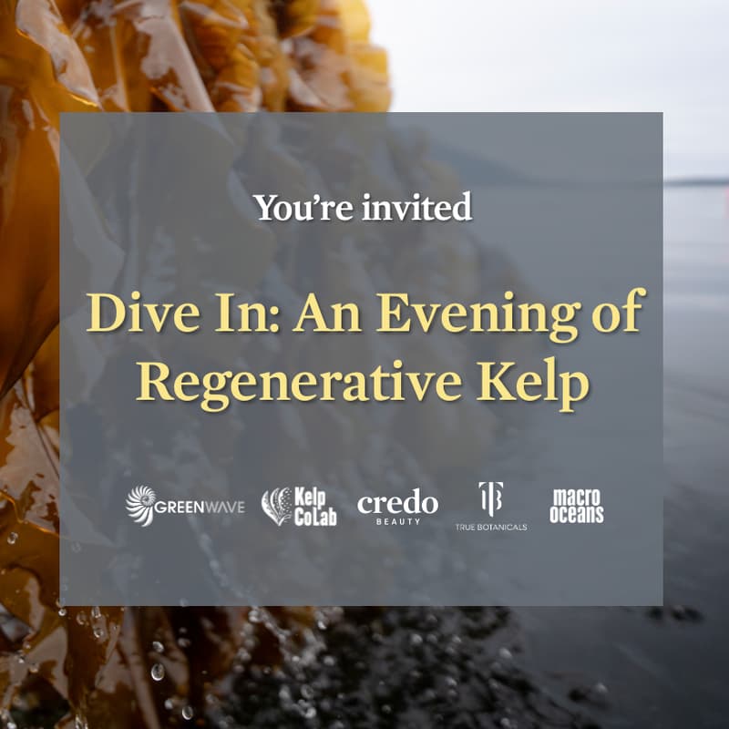 Cover Image for Dive In: An Evening of Regenerative Kelp
