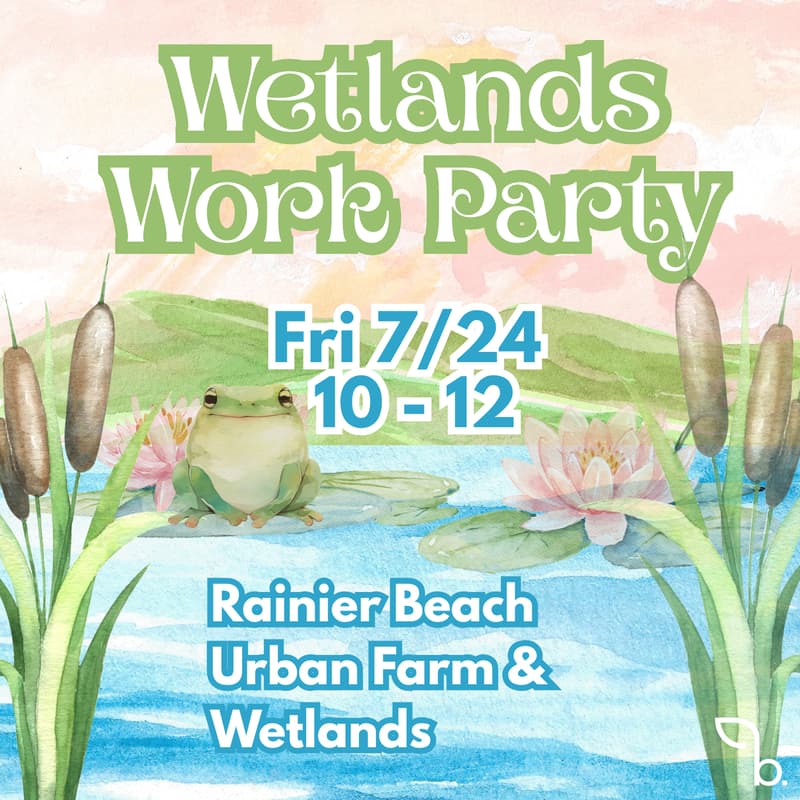 Cover Image for Wetlands Work Party