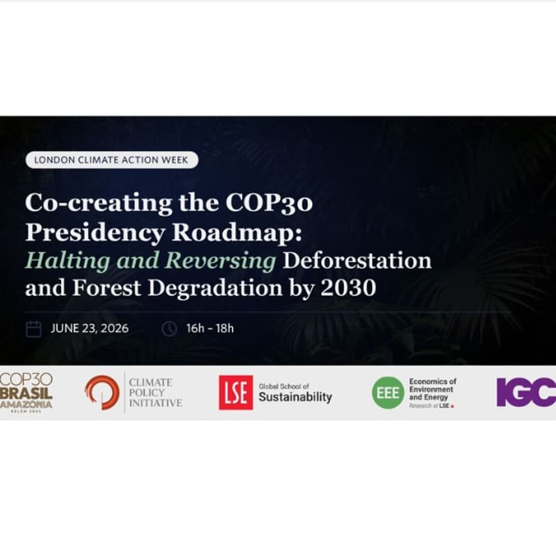 Cover Image for Co-creating the COP30 Presidency Roadmap: Halting and Reversing Deforestation and Forest Degradation by 2030