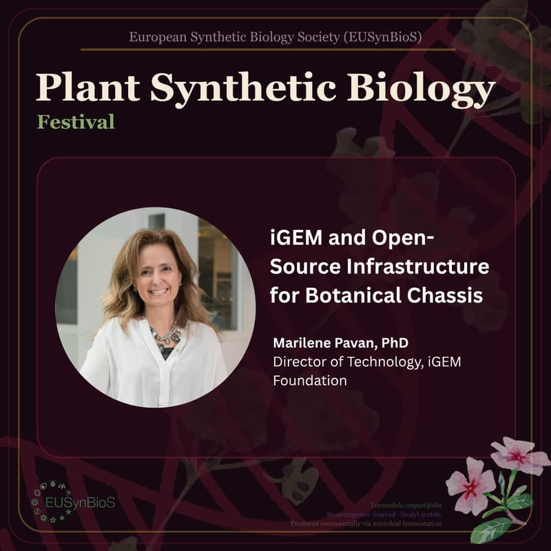 Cover Image for iGEM and Open-Source Infrastructure for Botanical Chassis (with Marilene Pavan)