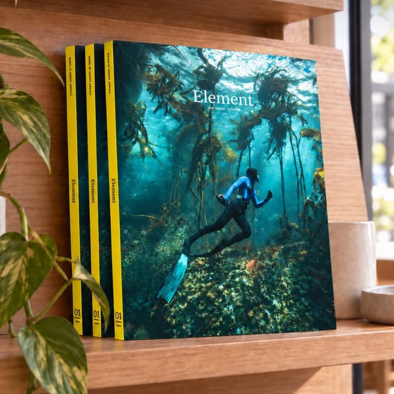 Cover Image for ELEMENT — THE MAKING OF A NEW MAGAZINE