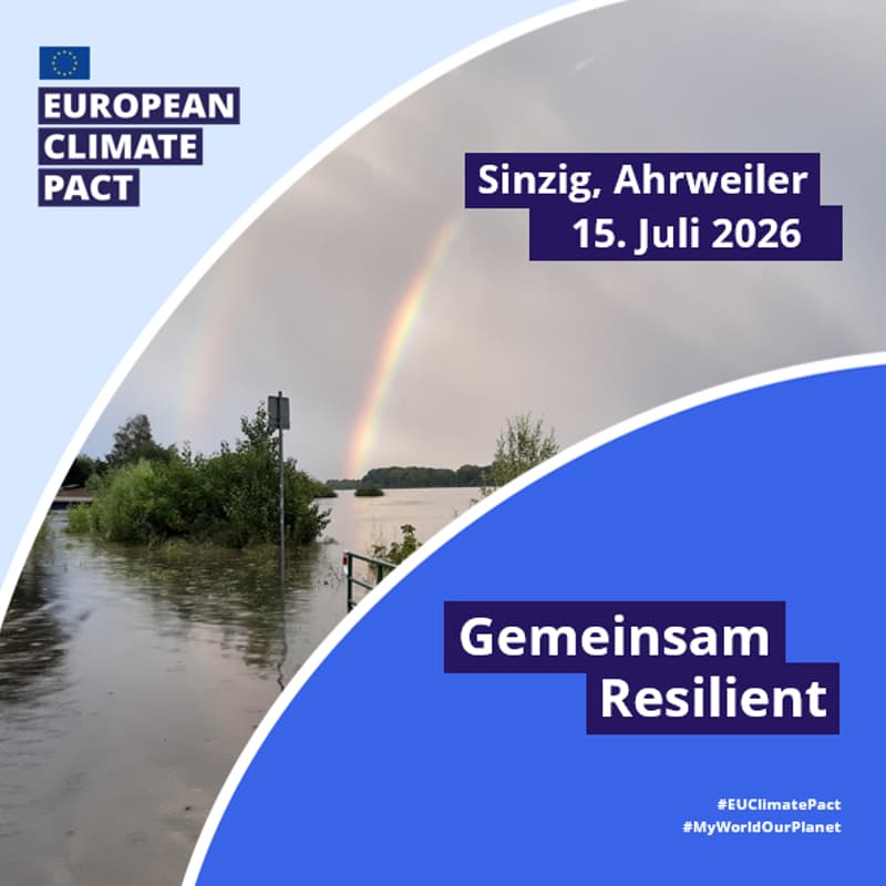 Cover Image for Gemeinsam Resilient