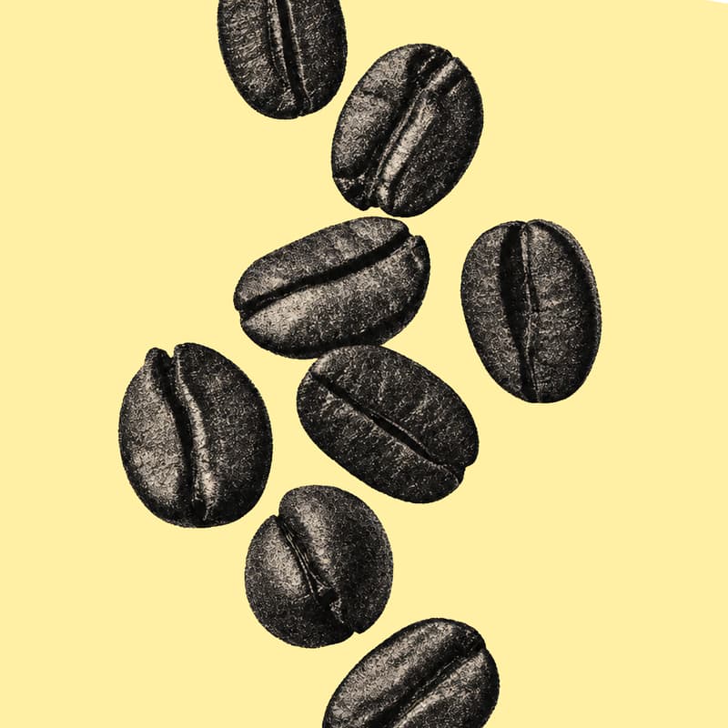 Cover Image for Good Grace's Cafe Soft-Launch