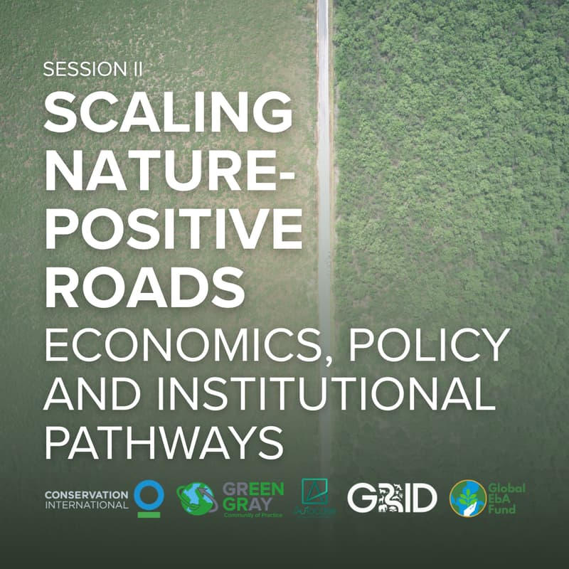 Cover Image for Scaling Nature-Positive Roads: Finance, Policy and Institutional Pathways