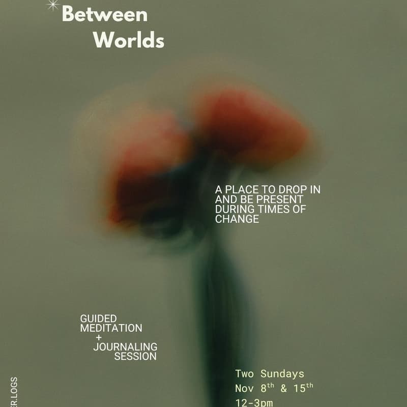 Cover Image for Between Worlds