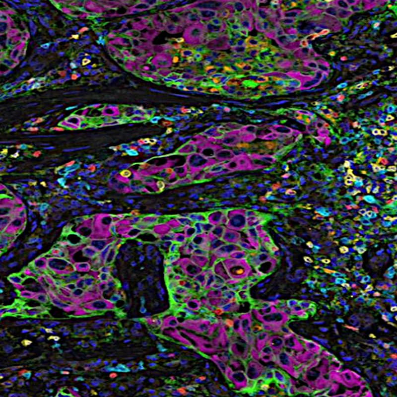 Cover Image for Next-Gen Therapies: Powered by Multi-Omics