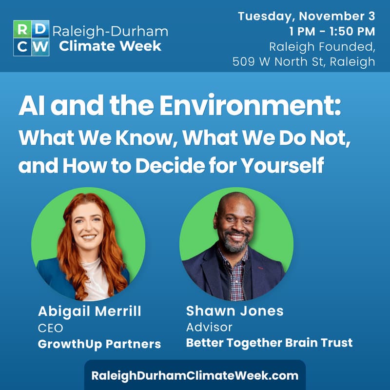 Cover Image for AI and the Environment: What We Know, What We Do Not, and How to Decide for Yourself