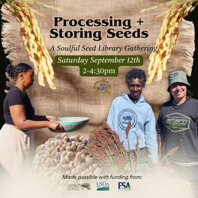 Cover Image for Soulful Seed Library Sessions: Processing + Storing Seeds