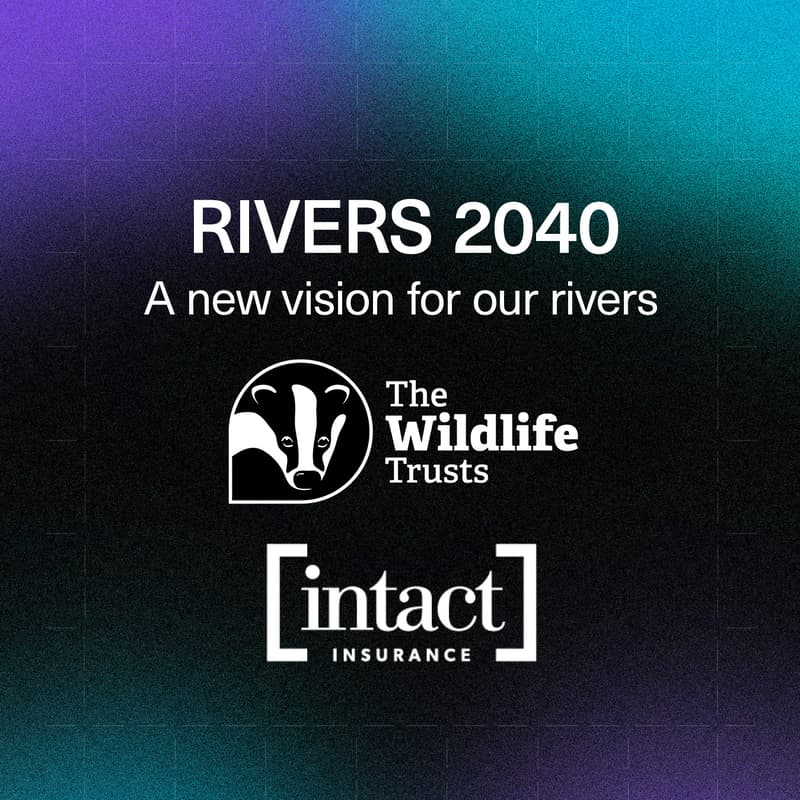 Cover Image for Rivers 2040 Launch: Film Premiere & Panel Discussion