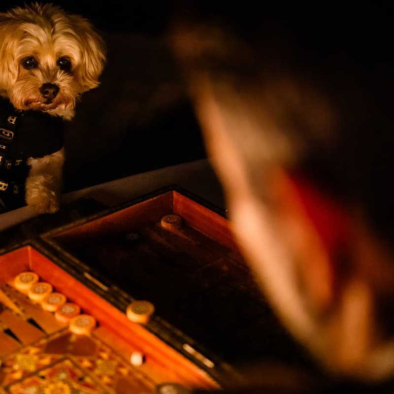 Cover Image for Backgammon Social x Frankie's Summer Club