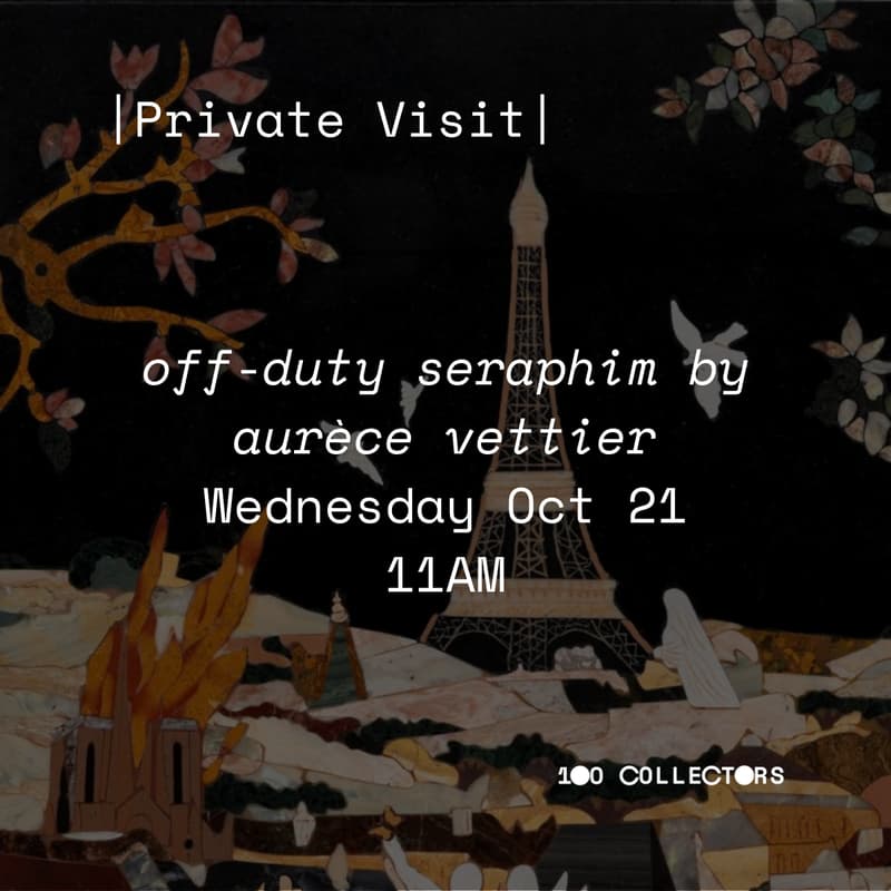 Cover Image for Private Visit: off-duty seraphim by aurèce vettier