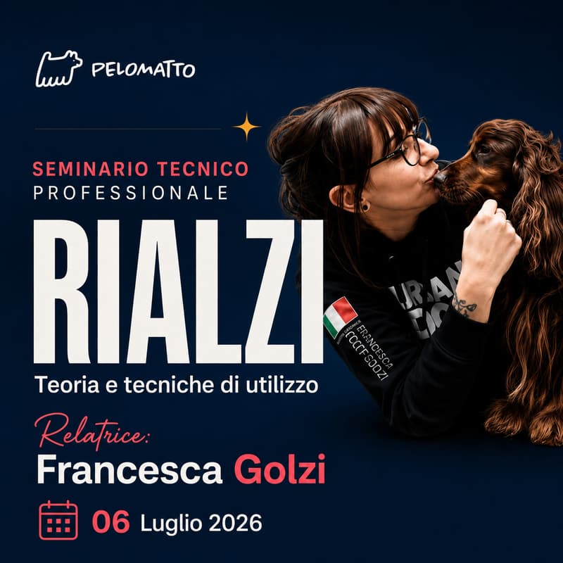 Cover Image for Seminario Tecnico Professionale: I Rialzi – Teoria e Tecniche di Utilizzo con la Maestra Groomer Francesca Golzi