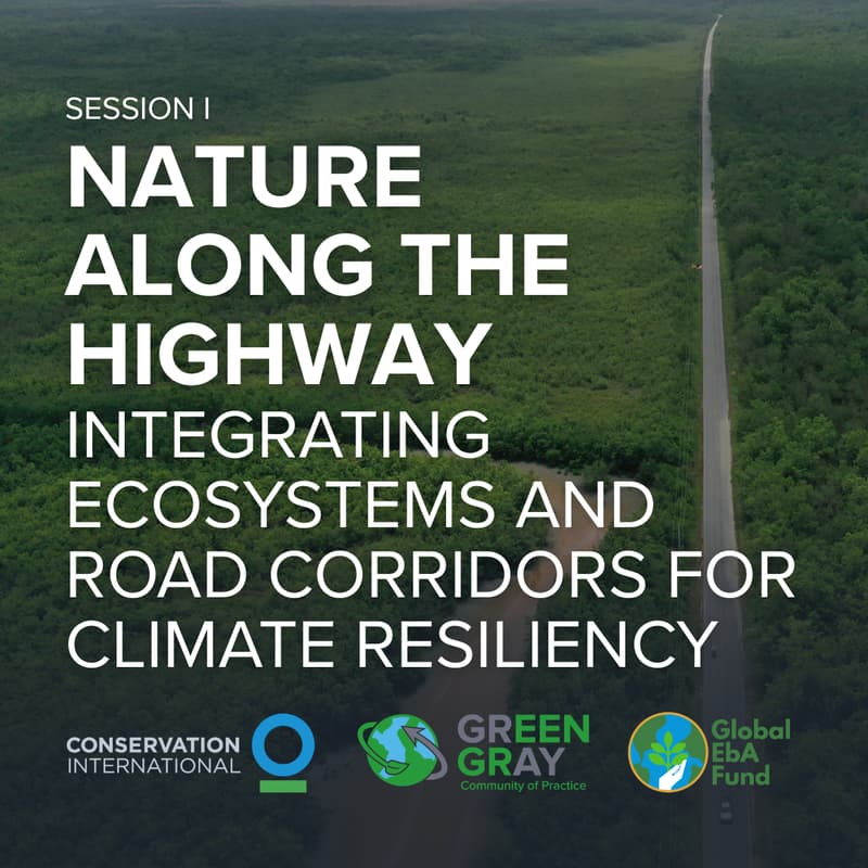 Cover Image for Nature Along the Highway: Integrating Ecosystems and Road Corridors for Climate Resiliency