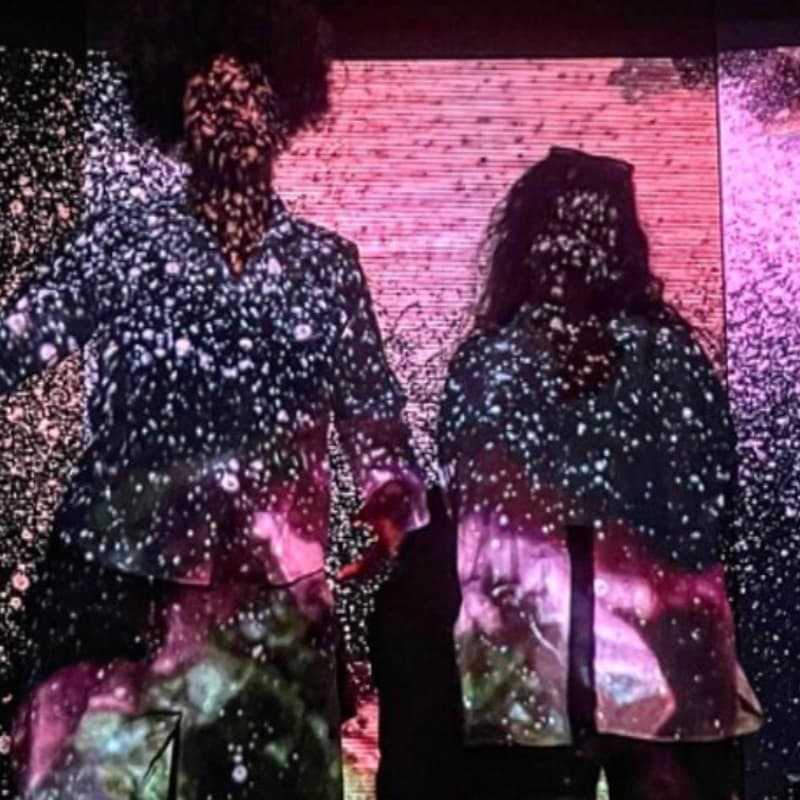 Cover Image for MOON - Festival Internacional de Videopoesia