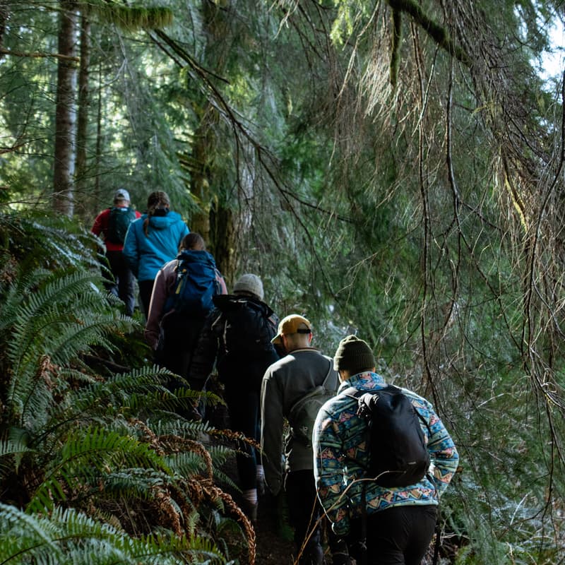Cover Image for nile creek (west trail)