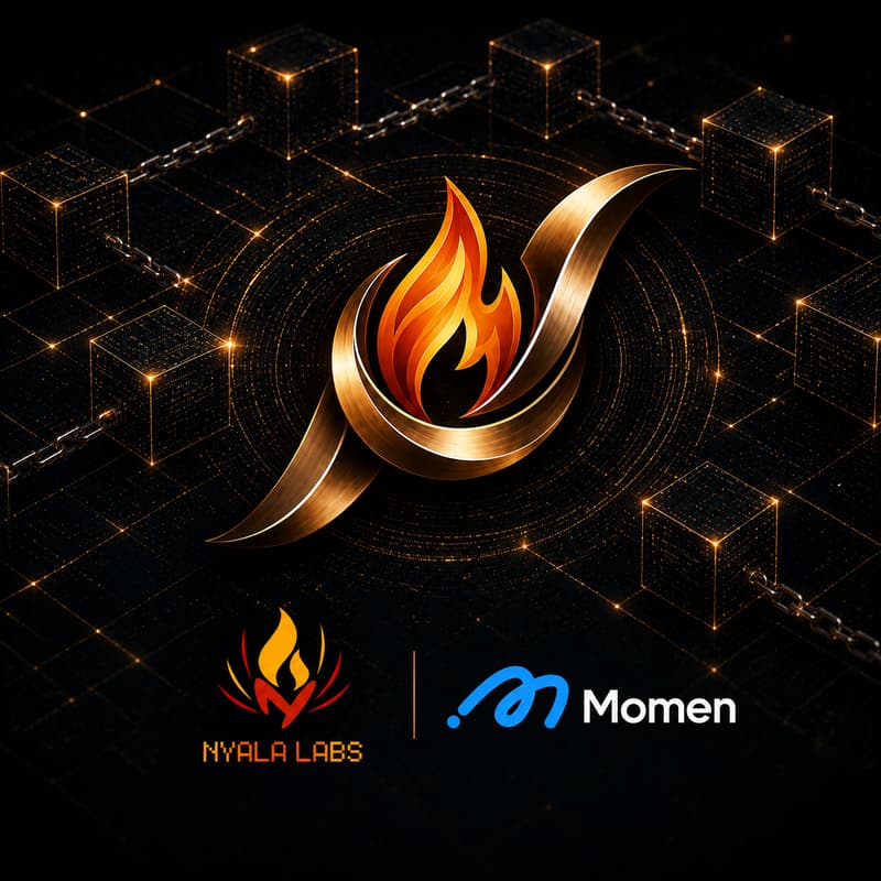 Cover Image for Introduction to Momen