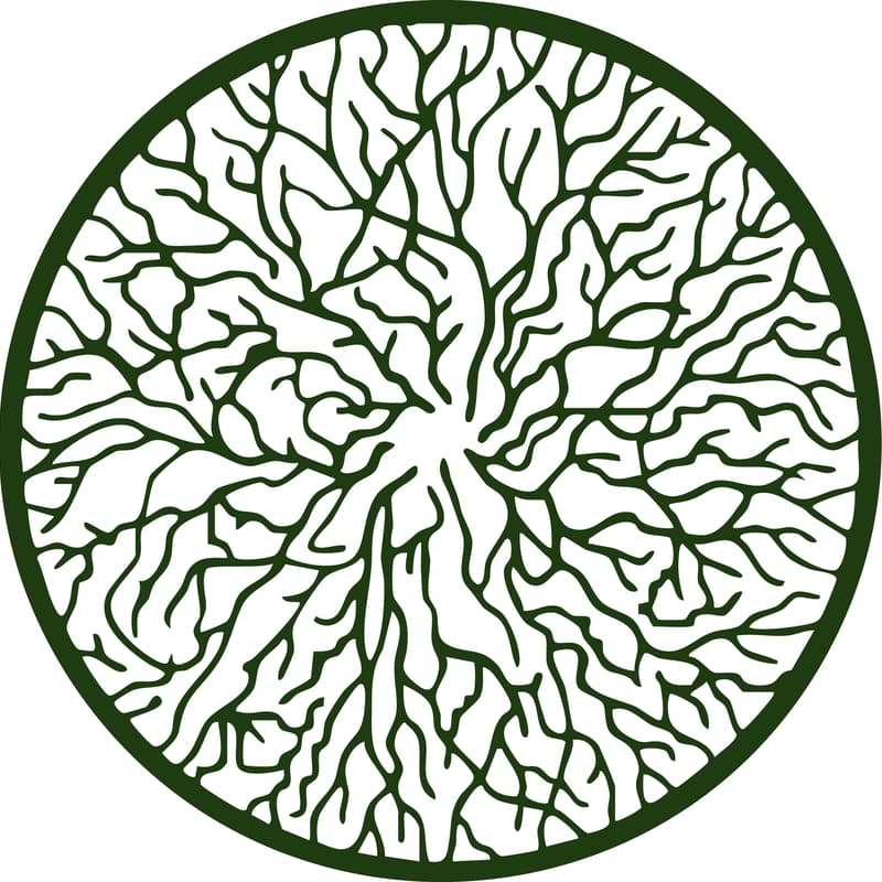 Cover Image for Regen Commons Session 3 — Growing the Membrane: Spaces & Relationships