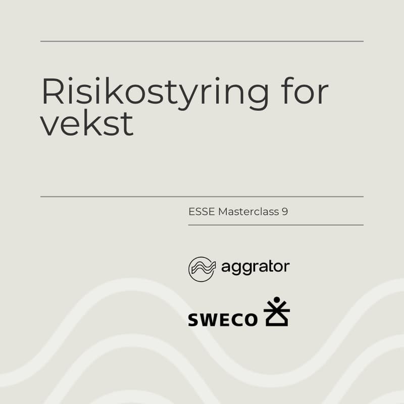 Cover Image for ESSE 9: Risikostyring for vekst
