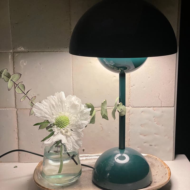 Cover Image for Fix it - Break It! Lamp Repair Workshop