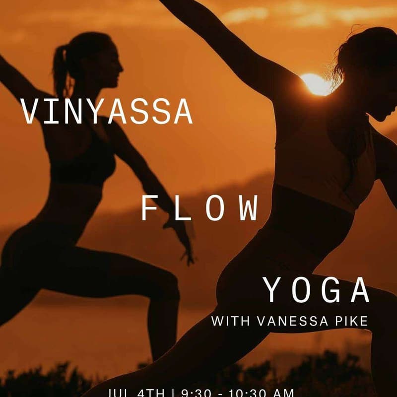 Cover Image for Vinyasa Flow yoga