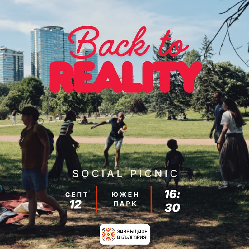 Cover Image for Back to Reality | Social Picnic
