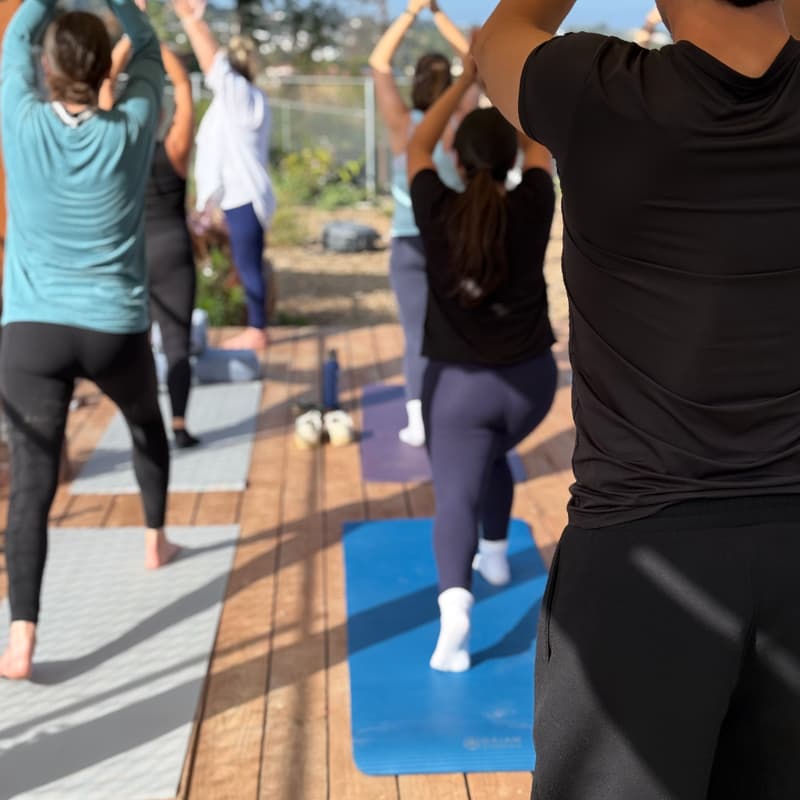 Cover Image for Yoga on the Farm