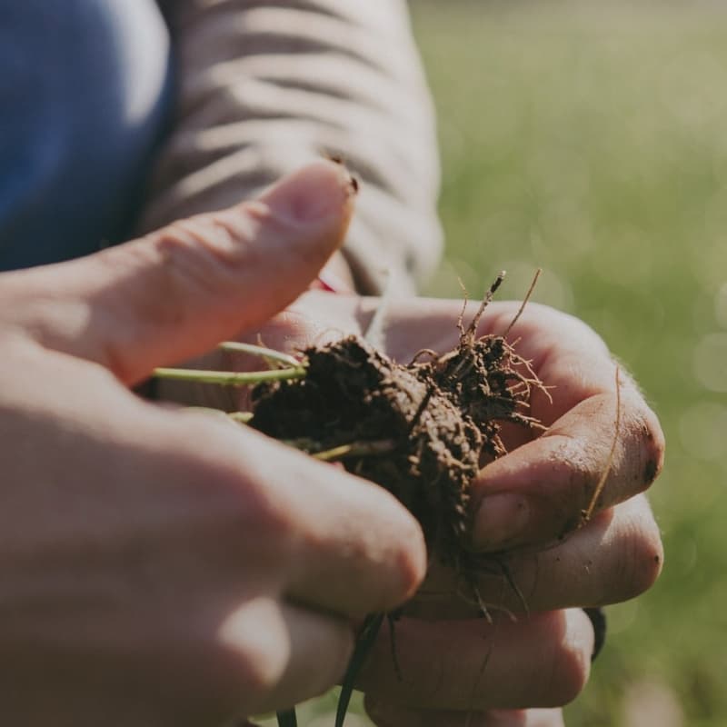 Cover Image for Dalla teoria alla terra: Dall’agroecologia agli ESG. Un giorno di agricoltura rigenerativa a Cascina Bagaggera