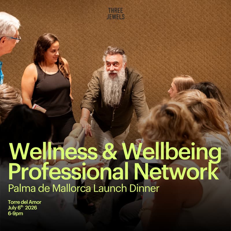 Cover Image for The Wellness & Wellbeing Professional Network — Mallorca Edition