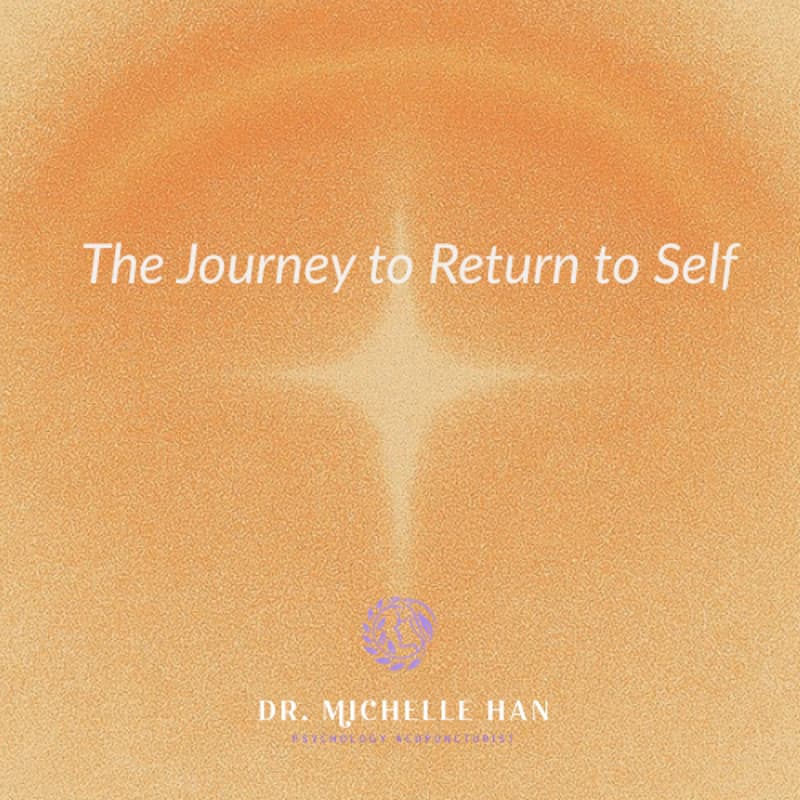Cover Image for The Journey to Return to Self