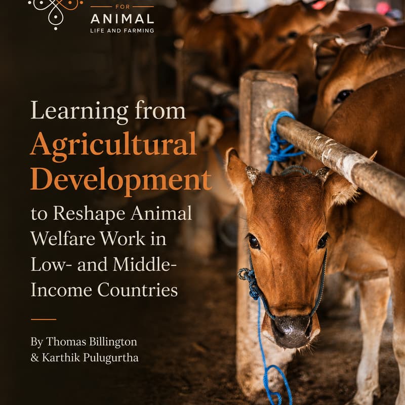 Cover Image for Learning From Agricultural Development - CALF Webinar
