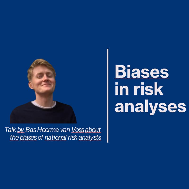 Cover Image for Cognitive bias in risk analysts