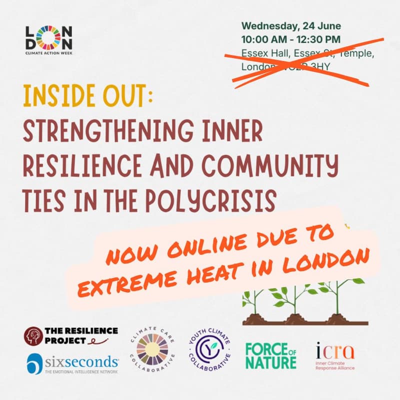 Cover Image for Inside Out: Strengthening Inner Resilience and Community Ties in the Polycrisis