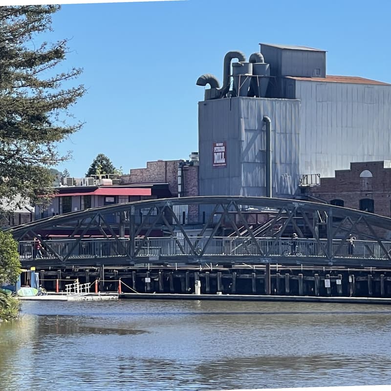 Cover Image for Transit Ride Along to the Petaluma Craft Beer Festival