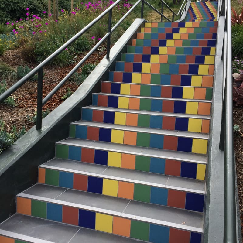 Cover Image for Bernal Stairway Safari