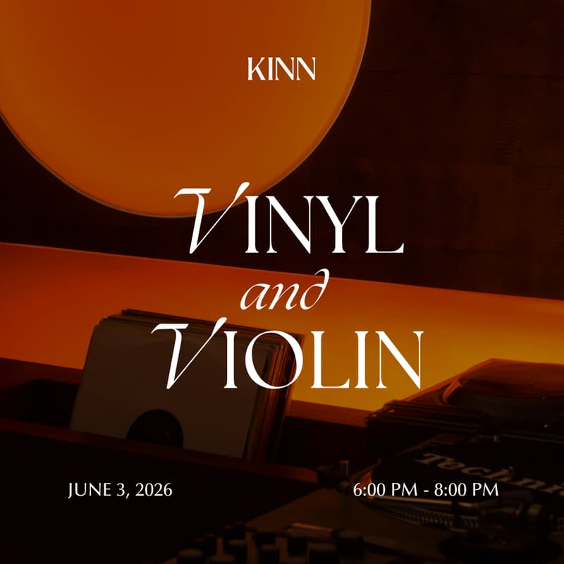 Cover Image for Vinyl And Violin