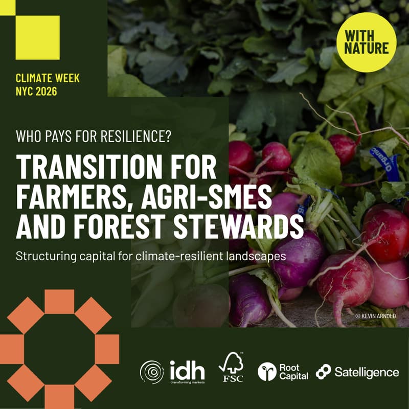 Cover Image for Who Pays for Resilience? Transition for Farmers, Agri-SMEs and Forest Stewards