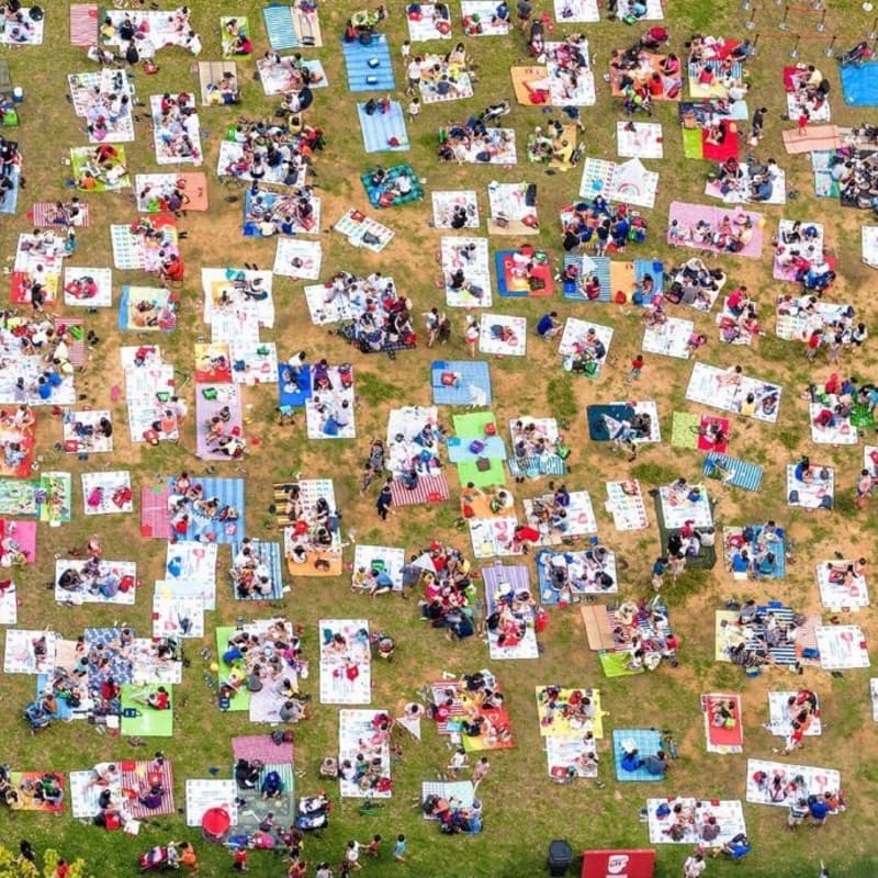 Cover Image for Reading Party & Picnic