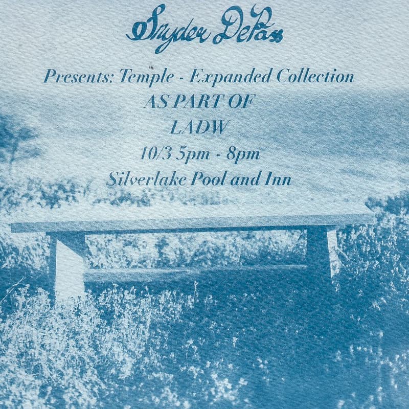 Cover Image for Snyder DePass @ Silver Lake Pool & Inn