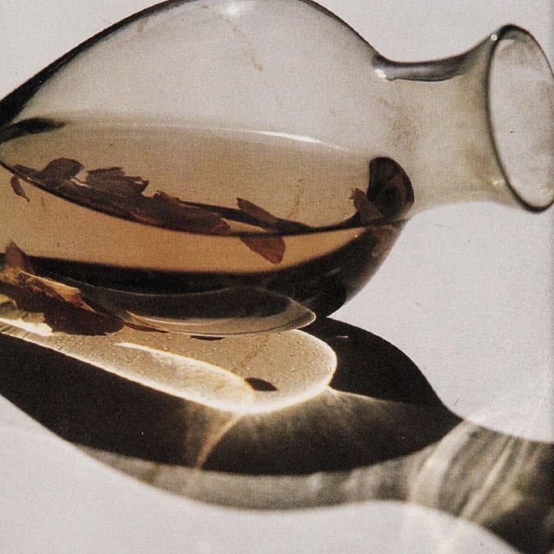 Cover Image for Dream Tea Ritual — A Silent Journey Into Dreamwork & Plant Wisdom