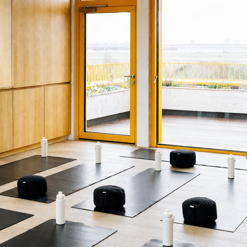 Cover Image for Meditation & Gentle Movement