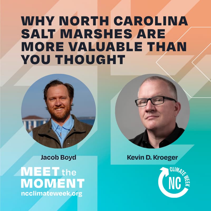 Cover Image for Why North Carolina Salt Marshes Are More Valuable Than You Thought