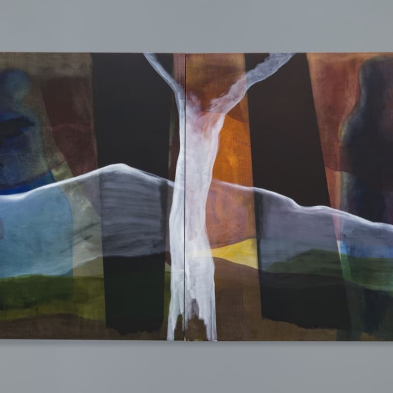 Cover Image for Private Guided Tour - Pedro Cabrita Reis at MAAT